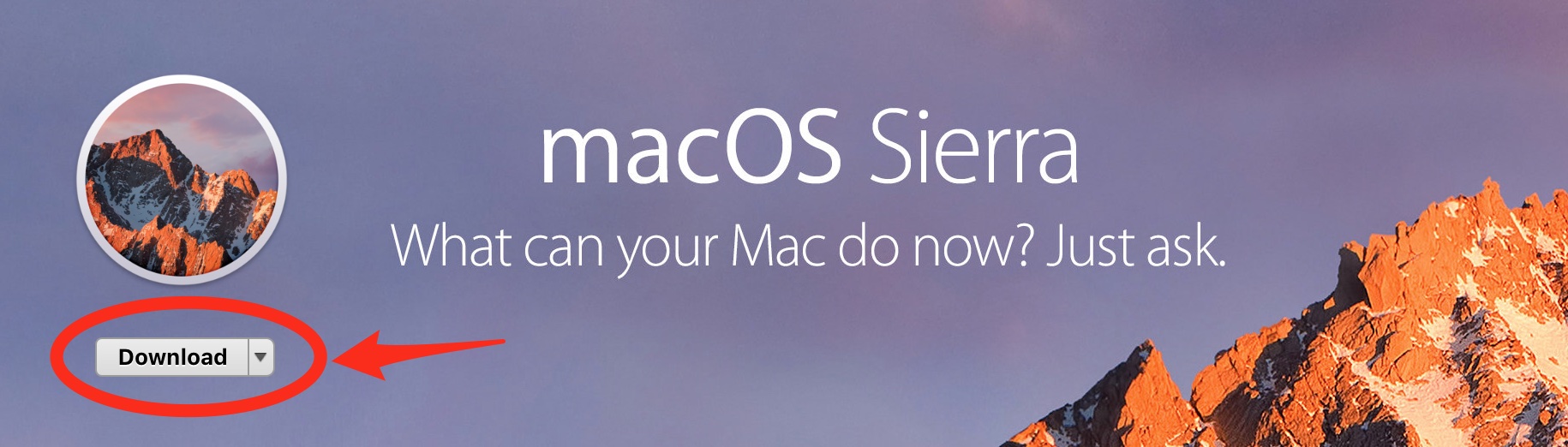 How long does mac os sierra take to download